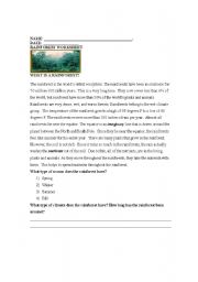 English Worksheet: Rainforest