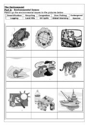 Environment Worksheet