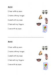 English Worksheet: The five senses