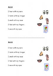 English worksheet: The five senses