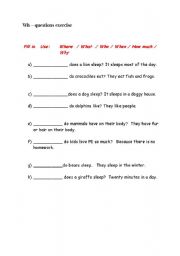 English Worksheet: WH-question exercise