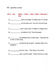 English worksheet: WH-question exercise