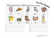 English Worksheet: The Five Senses