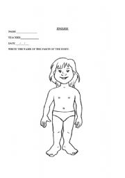 English worksheet: BODY