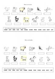 English Worksheet: Farm animals