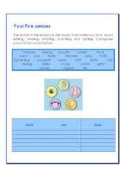 English Worksheet: Five senses