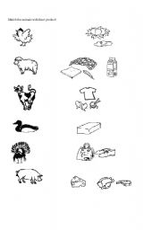 English worksheet: animals-product