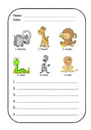 English Worksheet: Unscramble animals