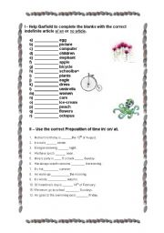 English Worksheet: indefinite article