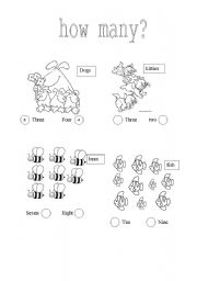 English worksheet: HOW MANY?