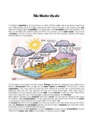 English Worksheet: Water cycle