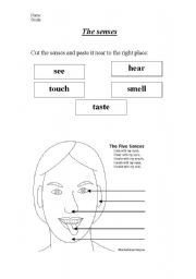 English worksheet: the senses