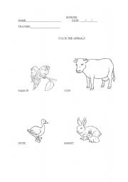 English Worksheet: Color the animals