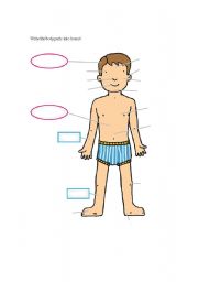 English worksheet: body-front