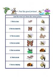 English Worksheet: Find the good insect!