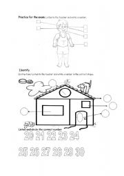 English worksheet: Simple practice of shapes, numbers and body parts.