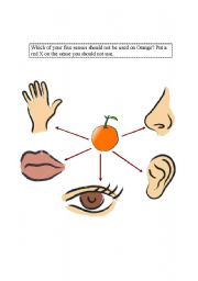 English worksheet: five senses