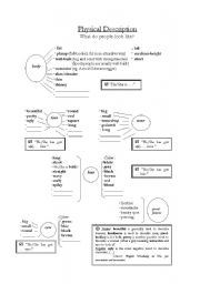 English Worksheet: Physical description