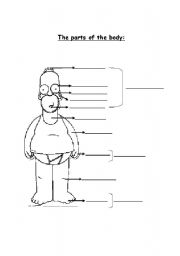 English Worksheet: Parts of the body