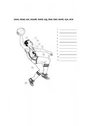 English worksheet: the body