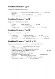 English Worksheet: Conditional Sentences Test