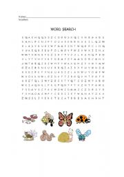 English worksheet: insects word search