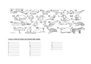 English Worksheet: Alphabet