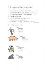 English worksheet: animals