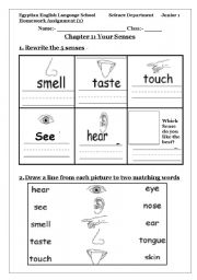 English Worksheet: 5 senses