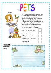 English Worksheet: pets