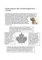 English Worksheet: Guide dogs.