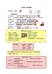 English Worksheet: PLURALS