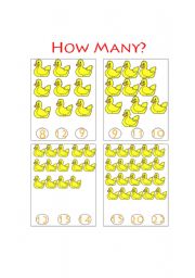 English worksheet: How Many ducks?