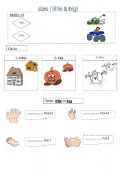 English worksheet: sizes little & big