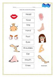 English Worksheet: Body