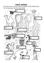 English Worksheet: Animal spellings