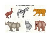 English worksheet: animals