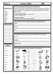 English Worksheet: Literacy Skills