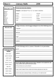 English Worksheet: Literacy Skills