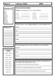 English Worksheet: Literacy Skills