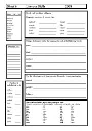 English Worksheet: Literacy Skills