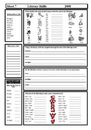 English Worksheet: Literacy Skills