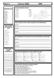 English Worksheet: Literacy Skills