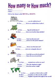 English Worksheet: How Many or How Much?