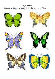 English worksheet: Symmetrical butterflies