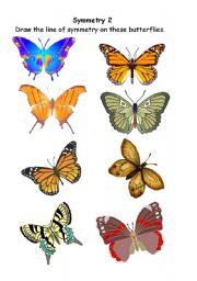 English Worksheet: Symmetrical butterflies 2