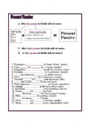 English Worksheet: Present Passive