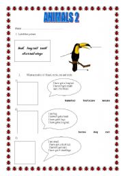 English Worksheet: Describing animals