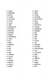 English Worksheet: basic english vocabulary