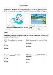 English worksheet: Homophones excercise 1